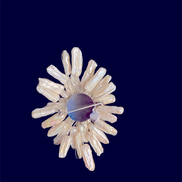 NWT Breathtaking necklace & brooch combo - Picture 7 of 11